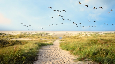 Partir en vacances malgré le cancer