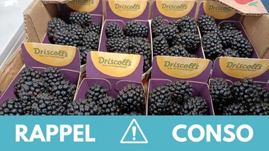 Rappel produit : Barquette de mûres