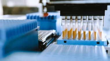 Qu'est-ce que la greffe fécale ?