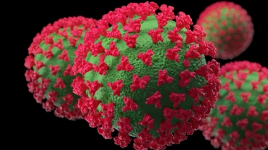 Le variant BQ.1.1 a été repéré pour la première fois au Nigeria en juillet