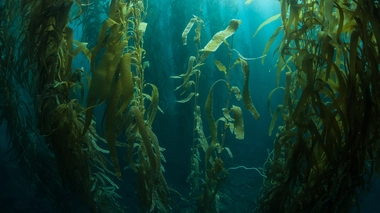 À quoi ressemble le "plus ancien repas du monde" ?