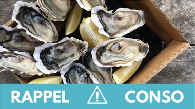 Rappel produit : plusieurs lots d'huîtres