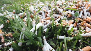 On vous explique pourquoi la cigarette pollue la planète
