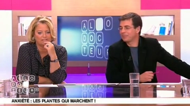 Plantes et anxiété : sans effets ?