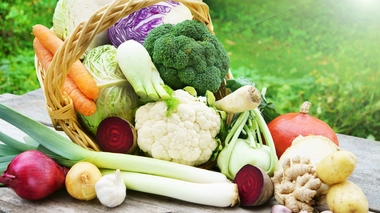 Strasbourg donne a ses bénéficiaires l’accès gratuit à un panier hebdomadaire de fruits et légumes bio et locaux