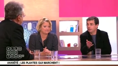 Plantes et anxiété : des tisanes pour des nuits calmes ?