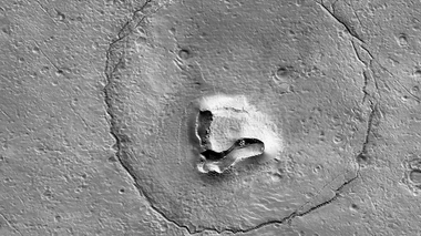 Une tête d'ours sur Mars : qu'est-ce que la paréidolie ?