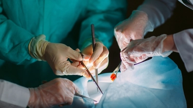 Un premier patient français greffé des poumons après une forme grave du covid