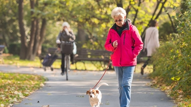 Pour vivre en meilleure santé plus longtemps, adoptez un chien !