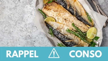 Rappel produit : maquereau vendu chez Auchan