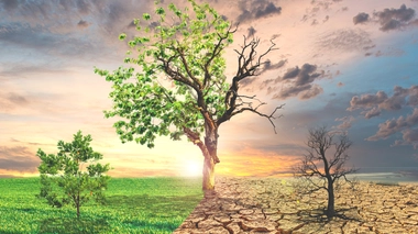 L’éco-anxiété est une angoisse suscitée par les changements climatiques, qui touche particulièrement la jeune génération. 