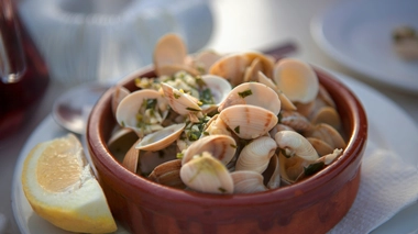 La pêche aux coquillages est provisoirement interdite dans la baie d'Authie (Pas-de-Calais) en raison d'une contamination à la bactérie Escherichia coli  