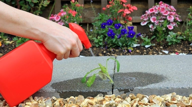 Pourquoi il est dangereux de fabriquer soi-même son désherbant