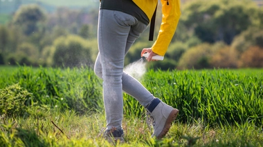 Maladie de Lyme : quatre astuces pour se protéger des tiques