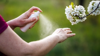 Les meilleures méthodes pour se protéger des moustiques