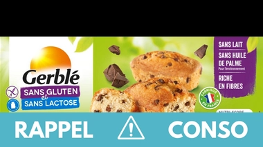 Rappel produit : Mini cakes aux pépites de chocolat