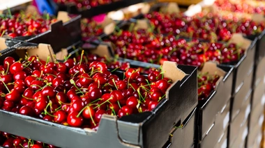 Trois recettes originales à base de cerises
