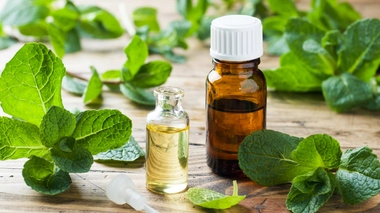 Quelles plantes contre les maux de ventre et les remontées acides ?