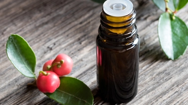 Quelles plantes utiliser en cataplasme pour soulager les lombalgies ?