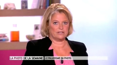 Paludisme : un parasite transmis du moustique à l'homme