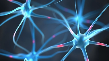 La maladie de Charcot, ou SLA, est une maladie neurologique.