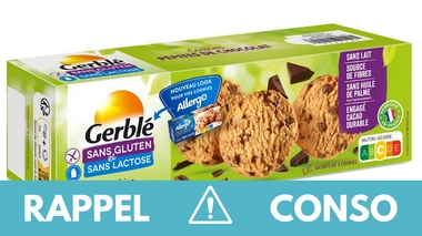 Rappel produit de cookies pépites de chocolat