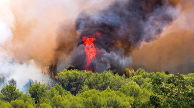 Feu de forêt à Aubais (Gard) le 31 juillet 2022