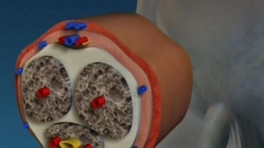 Ch@t : Médicaments et érection