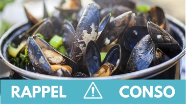 Rappel conso : moules de Bouchot
