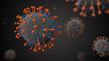 Le virus Nipah a fait deux morts en Inde