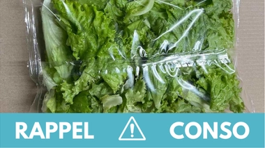 Rappel produit : salade Batavia