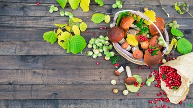 Que cuisiner avec la cueillette du week-end ?