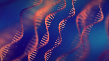 Le Prix Nobel de médecine 2023 récompense la découverte de l'ARN messager