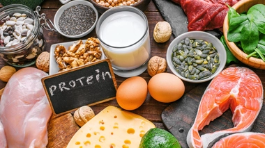 Les protéines sont, avec les lipides et les glucides, les principaux macronutriments essentiels à notre alimentation