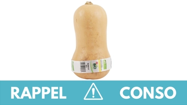Rappel produit : courge butternut