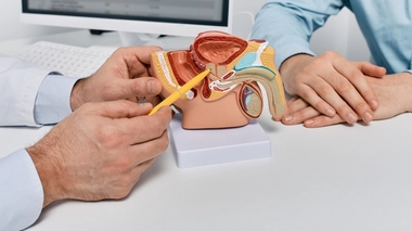 La prostate est une petite glande située sous la vessie