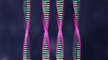 Révision de la loi bioéthique : la question des recherches en génétique