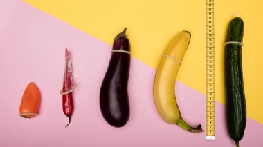 La taille des pénis de sang peut doubler, voire plus, entre le repos et l'érection