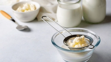 Les grains de kéfir permettent d'obtenir du kéfir.