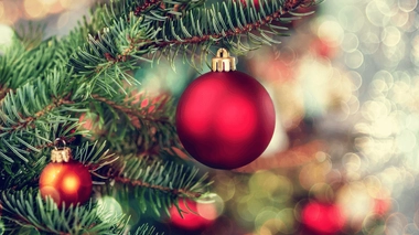 Le syndrome du sapin de Noël est une allergie provoquée par des moisissures présentes sur le tronc de cet arbre.