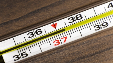 La température corporelle interne moyenne se situerait plutôt autour des 36,5 °C