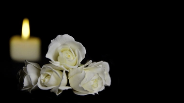 La liquéfaction de défunt pourrait-elle remplacer la crémation 