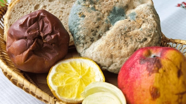 Toutes les moisissures sur les aliments ne sont pas dangereuses