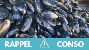 Rappel produit : Moules