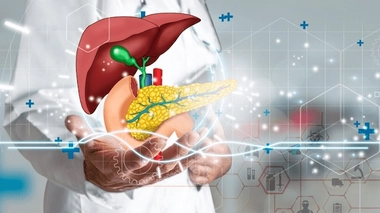 Le cholangiocarcinome est un cancer qui touche les voies biliaires, au niveau du foie