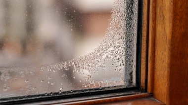 Trop d'humidité peu entraîner des problèmes respiratoires via l'apparition de moisissures