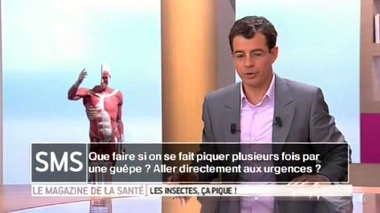 Piqûres d'insectes : que faire en cas de piqûres multiples&nbsp;?
