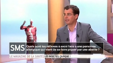 Piqûres d'insectes : aider une personne allergique ?