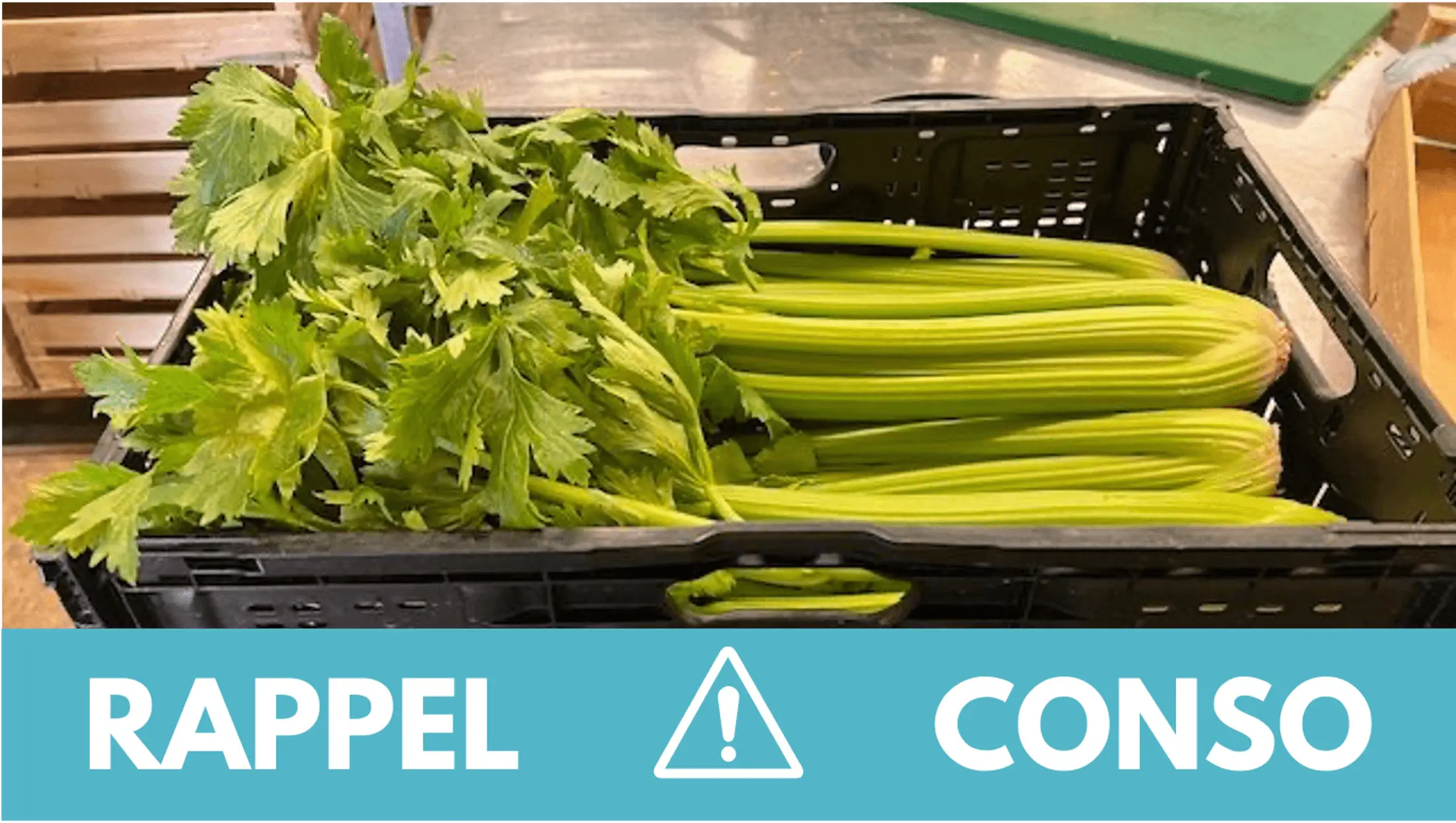 Rappel conso : céleri