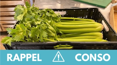 Rappel conso : céleri